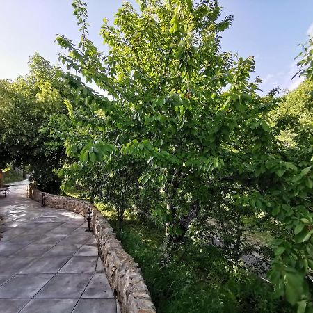 Villa Marel Trefacio Екстер'єр фото