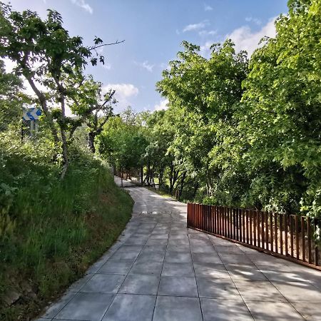 Villa Marel Trefacio Екстер'єр фото