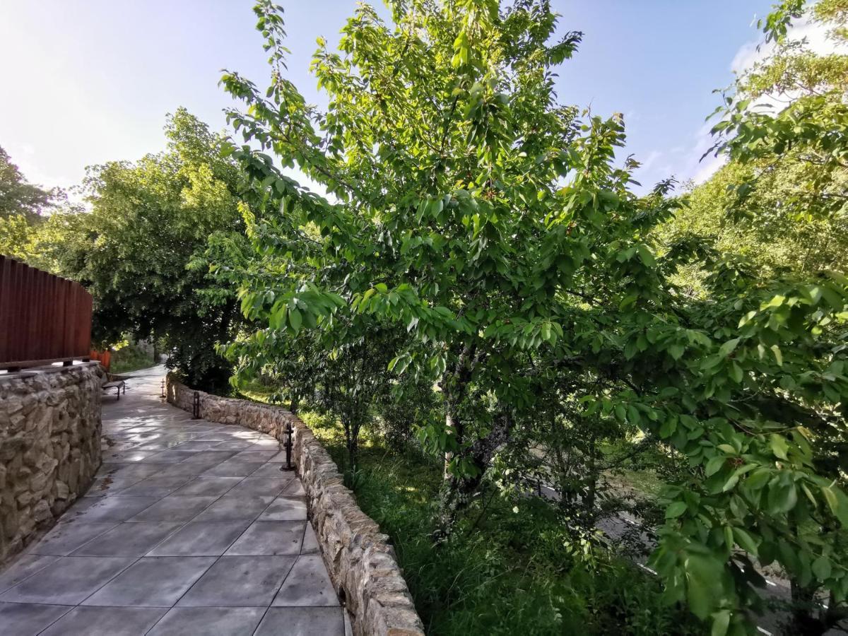 Villa Marel Trefacio Екстер'єр фото